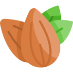 Dry fruits